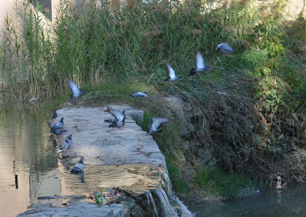 No s'ha trobat l'arxiu